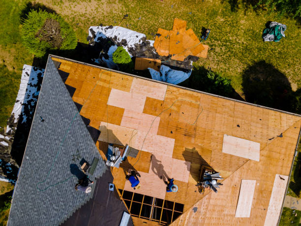Best Roof Leak Repair  in East Camden, AR