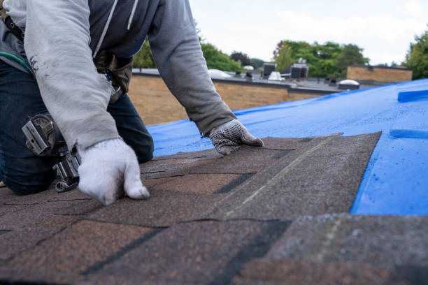 Best Flat Roof Repair Services  in East Camden, AR